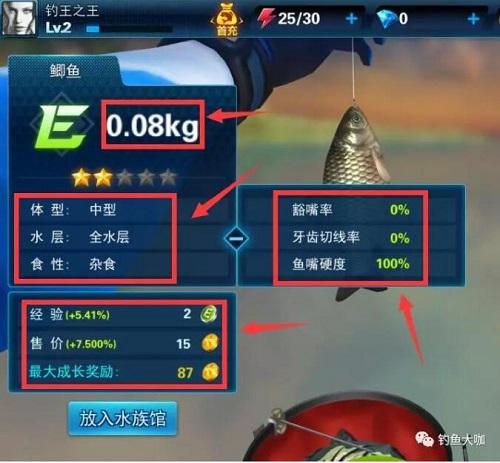 钓鱼大咖官方正版下载,钓鱼大咖,钓鱼游戏,休闲游戏